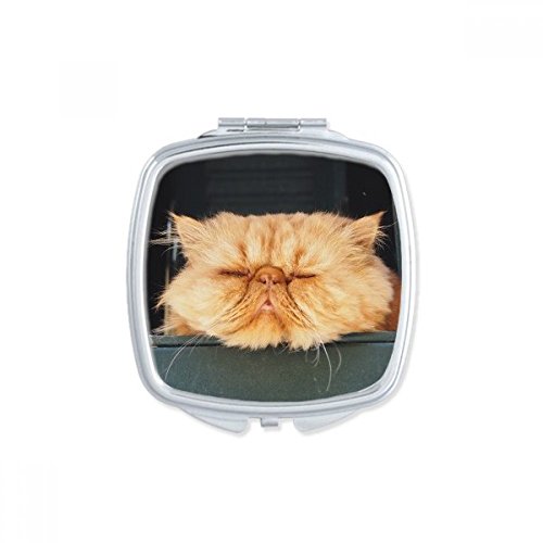 Miroir carré compact portable chat gris pour retouches maquillage - 2