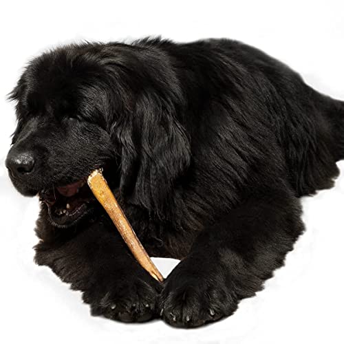 Sitka Farms Bundle Bully Scticks Xl 12" (12 Pack) Long Lasting + Pig Ears (12 Count) Special Chews Dogs #TOP5