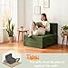 HILERO Folding Sofa Bed, 4 in 1 Convertible Sleeper Chair with Pillow, Single Memory Foam Fold Out Chair Bed, Modern Floor Futon Sofa Couch Mattress for Living Room/Guest/Apartment, Green