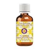 Deve Herbes Pure Asafoetida (Heeng) Essential Oil (Ferula assa-foetida) Therapeutic Grade Steam Dist