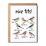 OystersPearl Nice Tits Bird Card - Nice Tits Card Fowl Language Bird Card - Gift For Bird Lovers - Bird Card - Nice Tits Card - Bird Lover Card