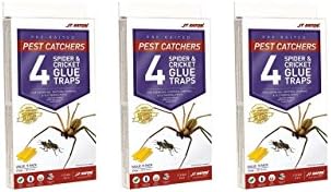 J T Eaton 844 Pest Catchers Large Spider and Cricket Size Attractant Scented Glue Trap, 12 Traps