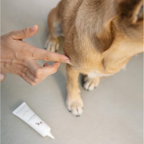 LILA LOVES IT Silbercreme für Hunde – Akutpflege mit Aloe Vera, Shea Butter und Mikrosilber, nanofrei, beruhigt und pflegt gereizte Hundehaut intensiv, SILVERCREAM, 30 ml