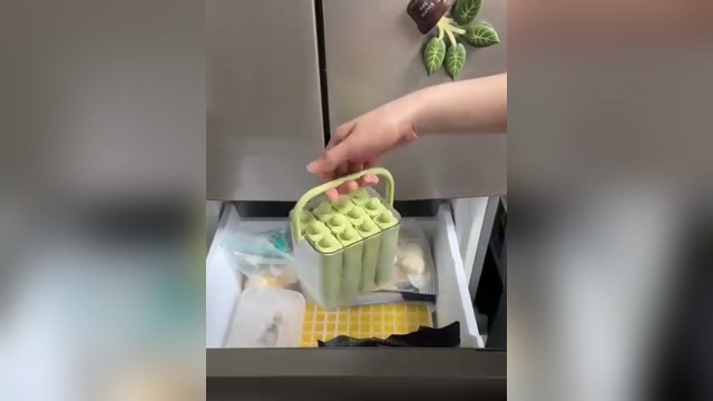 Molde de silicona para palitos de hielo con tapa y asas miniatura 7