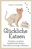 Glückliche Katzen: Verhalten verstehen, Wohlbefinden fördern, Gesundheitsvorsorge verbessern