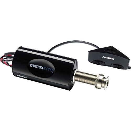 Fishman Matrix Infinity VT