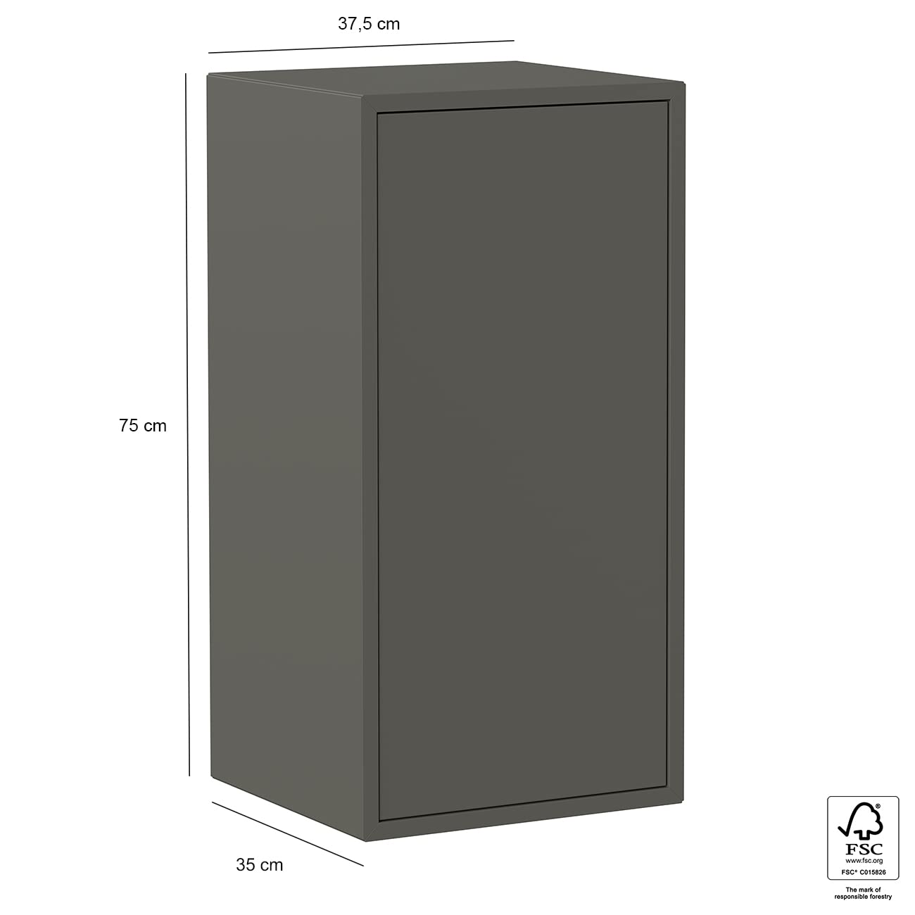 Iconico Home Cubo de pared, 1 estante, con puerta de apertura a presión