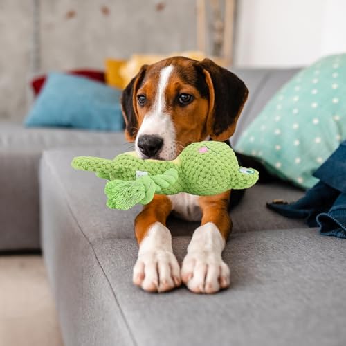 AKONE Hundespielzeug: Kauspielzeug, Quietschend, Interaktives Plüschspielzeug für Kleine und Mittlere Hunde - Froschform Kauseilspielzeug