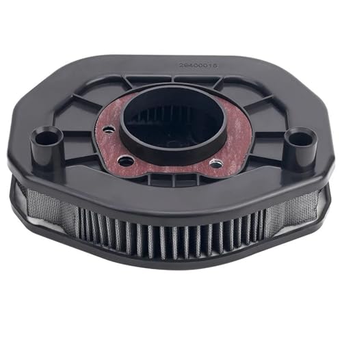 Filtre à air d'admission de moto Sportster XL1200 Iron XL883N Custom 29400015
