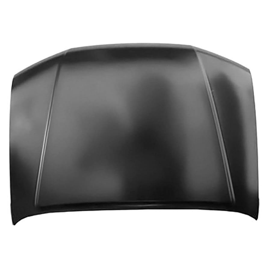 Amazon.com: For Nissan Frontier 2005-2019 Hood Panel