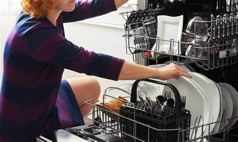 DESCALIMPAPLUS Limpa Máquina de Lavar Louça Natural Limpeza Interna Elimina Mal Cheiro e Odores Remo