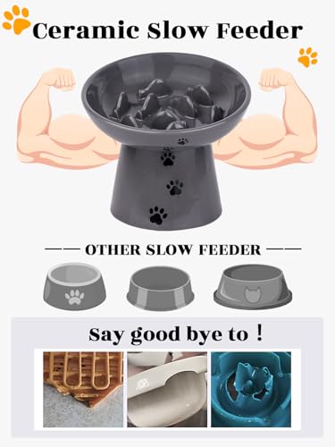 image for Y YHY Slow Feeder Cat Bowl, Ceramic Cat Slow Feeder Bowl, 6 Inches, El