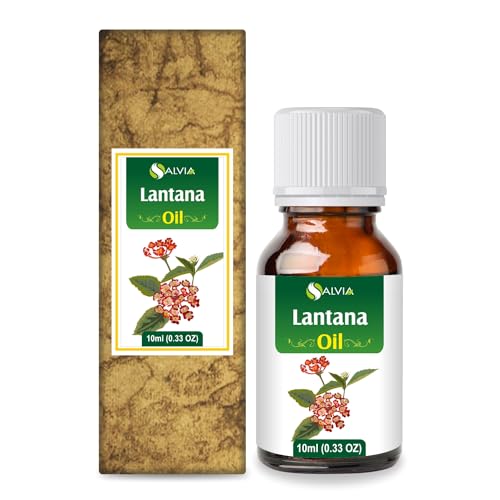 Huile de Lantana Salvia 10 ml essentielle pure pour votre rituel bien-être