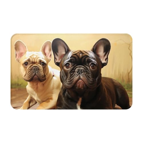 Zerbino assorbente per ingresso con simpatico bulldog francese, tappeto per interni ed esterni, antiscivolo, in flanella, tappetino da bagno a basso profilo, 50,8 x 80 cm