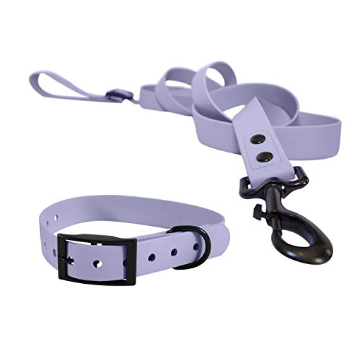 The Lilac Dog Collar 12 Heavy Duty Dog Leash & Collar Set, Blue Berry Lilac ...