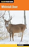 Whitetail Deer (Falcon Pocket Guides Series)