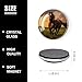 6 Pieces Fridge Magnets Refrigerator Glass Decorative Crystal Magnets for Kitchen Office Whiteboard,Brown Horse Running Sunset Elegant