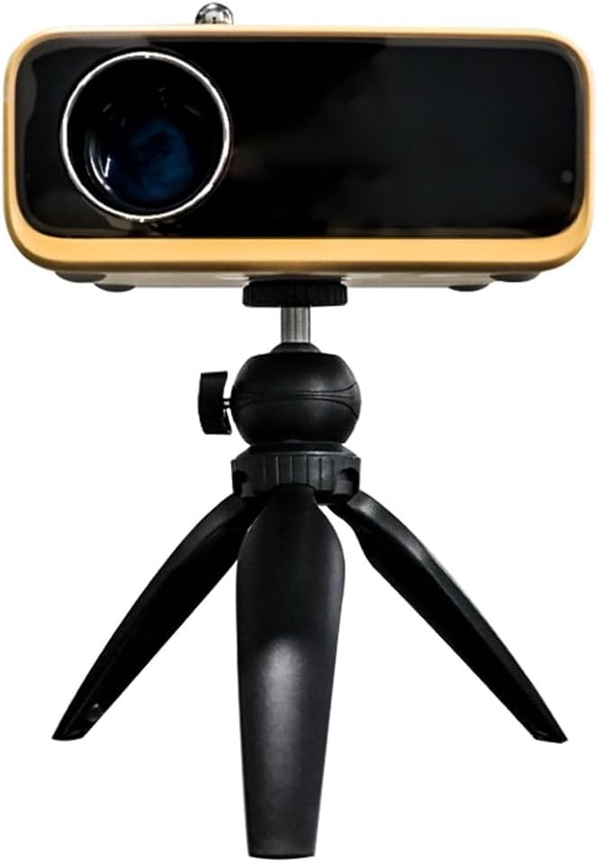 Death by Audio MICRO DREAM ディレイ エフェクター Death By Audio