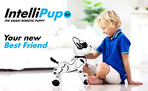 https://m.media-amazon.com/images/I/41MZnGVV8fL.jpg