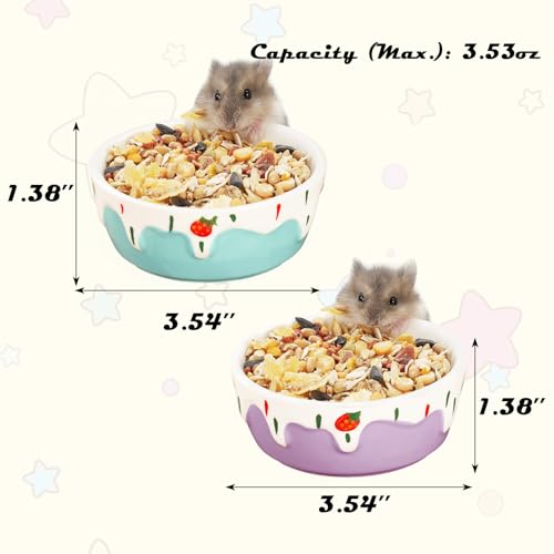 VanEnjoy 2 Pack Hamster Food Bowl Small Ceramic Water Food Bowl for Cage Small Animal Bowls for Hamster Guinea Pig Chinchilla Rabbit - Blue and Purple - Image 3