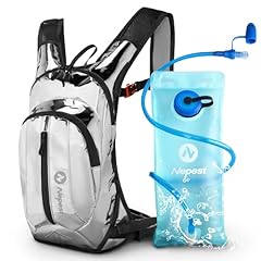 Holographic - Silvery