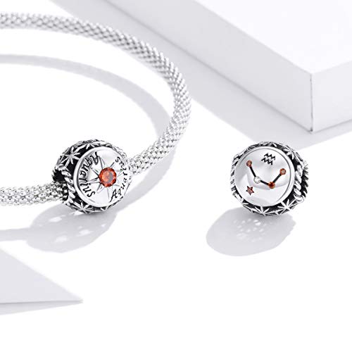 Image of 12 Constellation Charms 925 Sterling Silver Crystal Zircon Charms Family and Friends' Birthday Charm Birthstone Charms for Women Bracelets