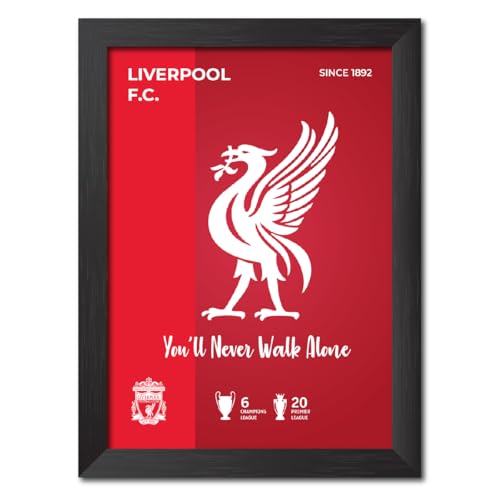 TenorArts Liverpool FC White River Bird 3D Textured Logo Football Club Laminated Poster Framed Paintings with Matt finish Redesigned with Thick Textured Frames (Black, 9inches x 12inches)