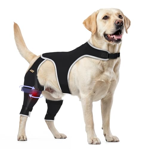 Image of Dog Knee Brace