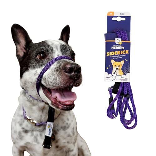 Heathers Heroes Sidekick Dog Headcollar with Leash - Effective Dog Training Tool for Leash Reactivity and Behavior Issues (Purple Mini (1/4))