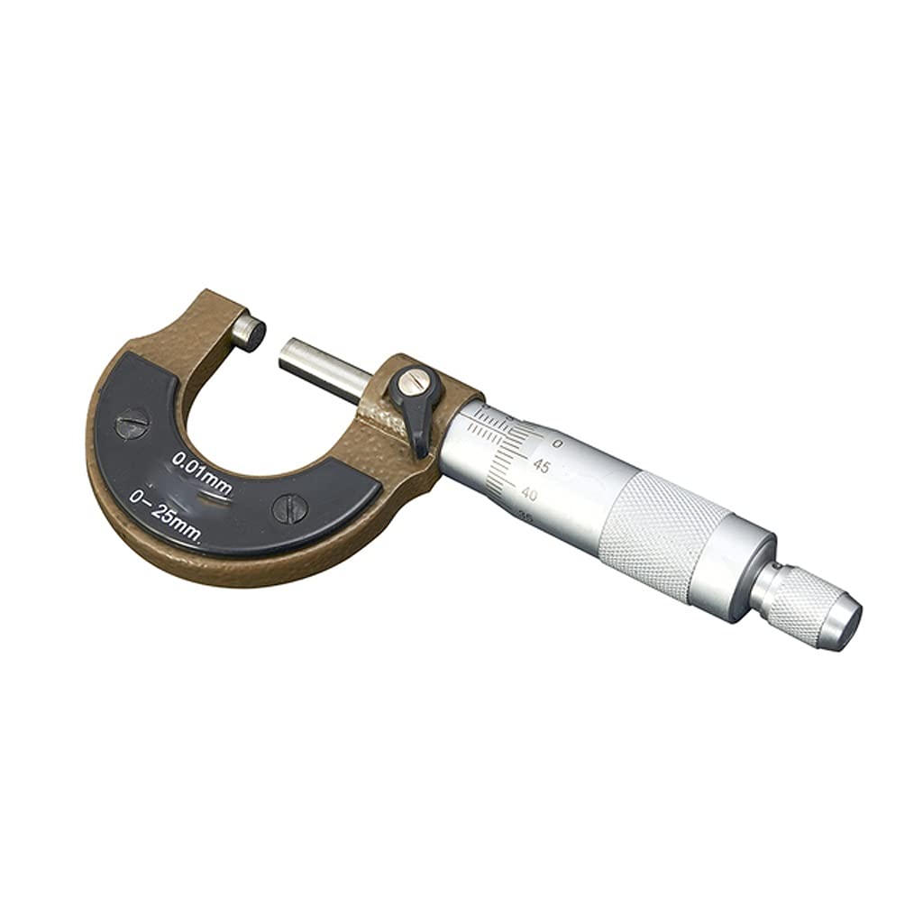Micrometro in Acciaio Inossidabile ad Alta precisione Campo di misurazione 0-25 mm Risoluzione 0,01 mm Incisione Laser in Acciaio Inossidabile