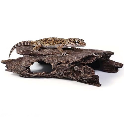 Tfwadmx Leopard Gecko Hide, 10
