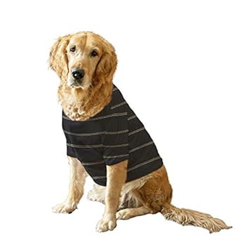 Ruse. Pet Clothes Black/White Yellow Striped Full Sleeves with Treat Pocket Crew Neck T-Shirt/Tees Apparel for Dogs./Medium (Chubby Pugs, Beagle etc.)