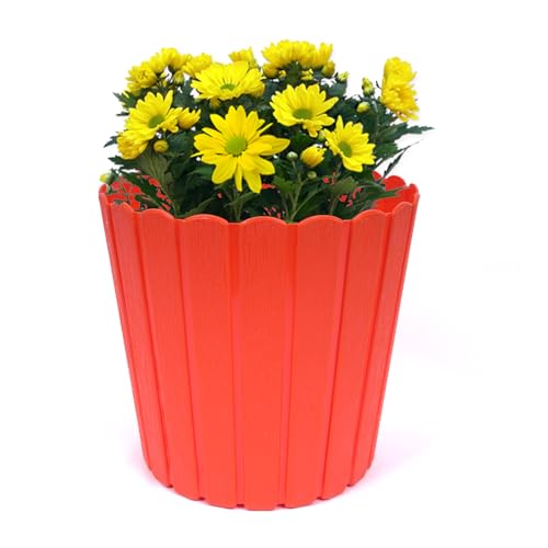 Image of GARDENS NEED 10 Inches Thai Round Flower Pot | Set of 2 | Orange | Plastic Planter Pots for Indoor & Outdoor Home, Office & Balcony Decoration
