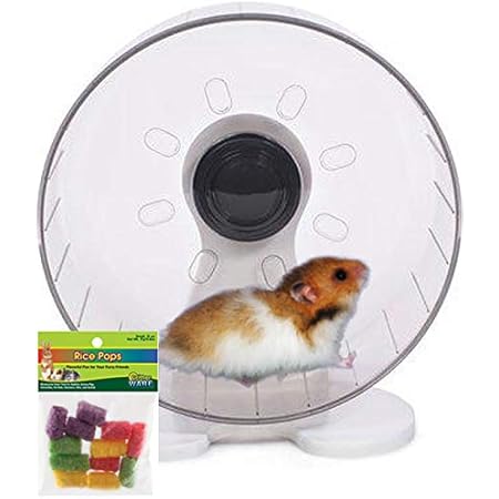 Amazon Com Rueda De Hamster Sirio 9 6 In Rueda Silenciosa Con Rodamientos Incluidos Productos Para Animales Amazon Com Rueda De Hamster Sirio 9 6 In Rueda Silenciosa Con Rodamientos Incluidos Productos Para Animales