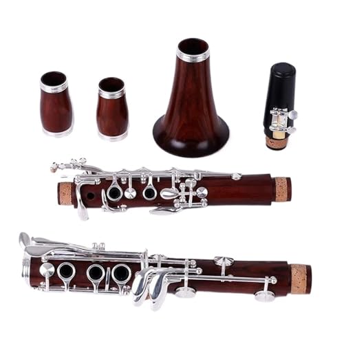 vdl̉tpNlbg vdl̃bhEbhBBNlbgy(M12)