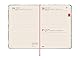 Finocam – Terminkalender 2020-2021 M4 – 118 x 168 1 Tag Seite Natural Lemon Spanisch
