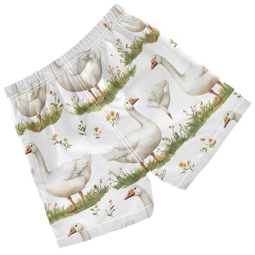 Pigsaly Boys' Swim Board Shorts Spring Flowers Grass White Geese Goose Boy's Swim Trunks Kids Swimwear 5T2