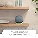 Echo (4.ª generación) | Sonido de alta calidad | Antracita + Philips...