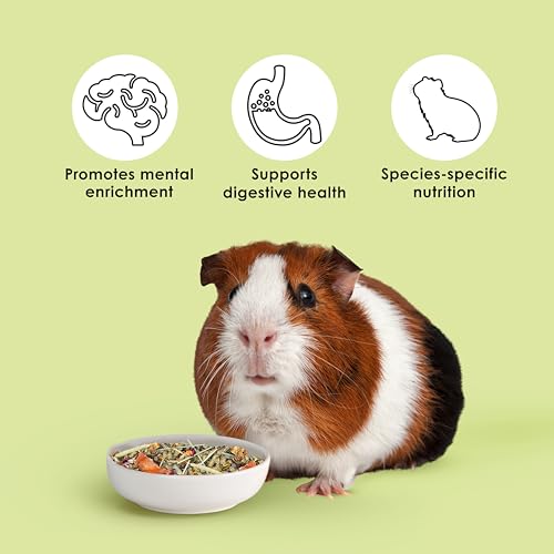 Kaytee Food from The Wild Natural Pet Guinea Pig Food,4 Pound,(Pack of 2) - image 4