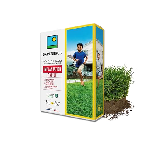 BARENBRUG Gazon Implantation Rapide 1KG