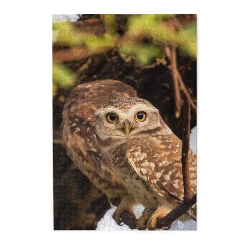 ؐs[X 1000s[X tNE̓1 WO\[pY lp eqpY qFBւ̃v[gɂł