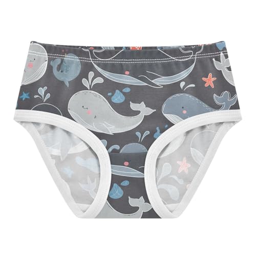 Cute Whales Stars Starfish Gray Toddler Girls Underwear 2t Cotton Little Girl Panties Fancy Briefs Girls Undies