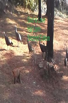 Paperback God Is Love Book