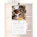 Wall Calendar 2026 | Weekly and Monthly Organiser with Dachshunds | Monthly Wall Calendar for Dogs – For Apartment Bedroom Living Room Kitchen Fridge Desk Spaces
