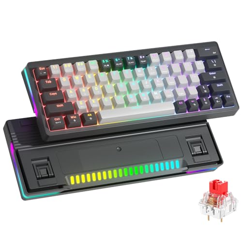 41MaDKMQ97L.jpg