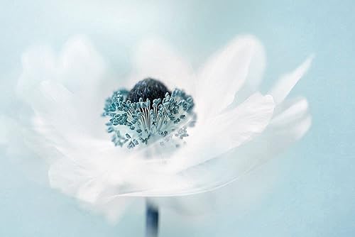 Posterazzi PDXXI469ASMALL Obra de arte, pequeña, multicolor