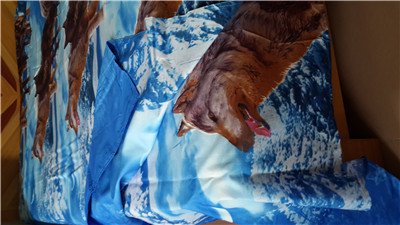 Queen Size Wolf Bedding Sets,3D Oil Painting Wolf Duvet Cover #TOP5