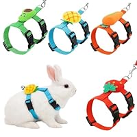 4 Stück Kaninchen Leine Hasenleine Geschirre & Halsbänder, Ananas Karotte Erdbeere Avocado Designs, Verstellbare Katzengeschirre für Erwachsene Haustiere, Robuste Hundeleine Alternative für Kaninchen