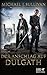 Cover zum Buch Der Anschlag auf Dulgath