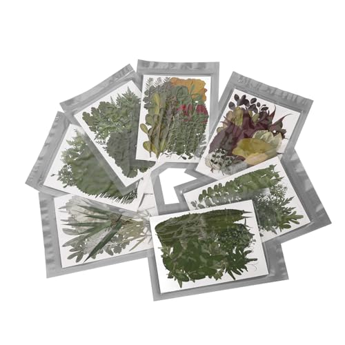 Kit de fleurs pressées séchées colorées pour résine sans bulles